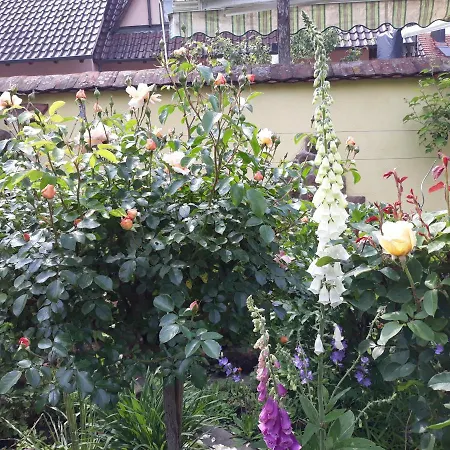 Apartmán Feriendomizil Sonnenschein *