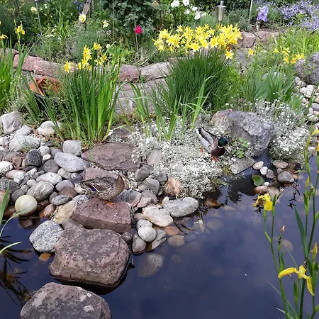 Feriendomizil Sonnenschein