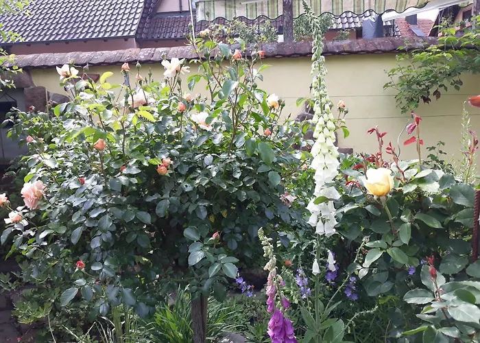 Lägenhet Feriendomizil Sonnenschein *